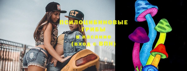 винт Нефтегорск
