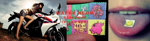 амф Нея