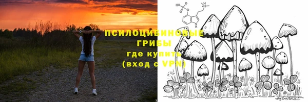 винт Нефтегорск
